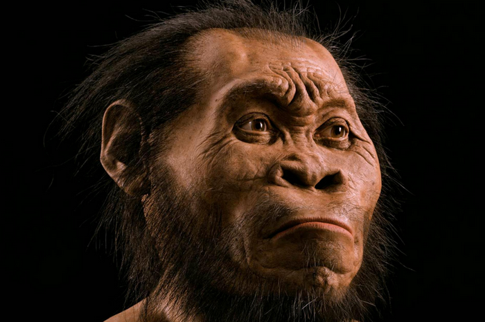 Homo Erectus: Mankhluk Mirip Manusia